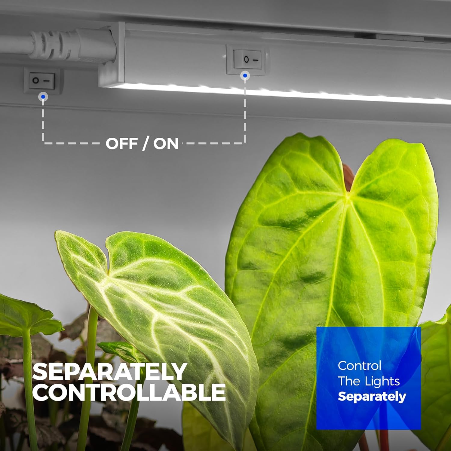 Barrina T5 Grow Lights for Indoor Plants, Full Spectrum, 2FT, 8 Packs