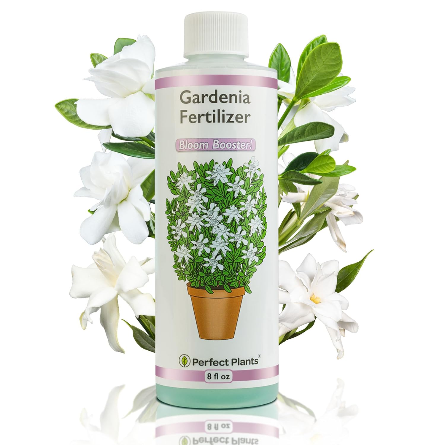 Perfect Plants Gardenia Liquid Fertilizer, 8 oz, Bloom Boost Plant Food