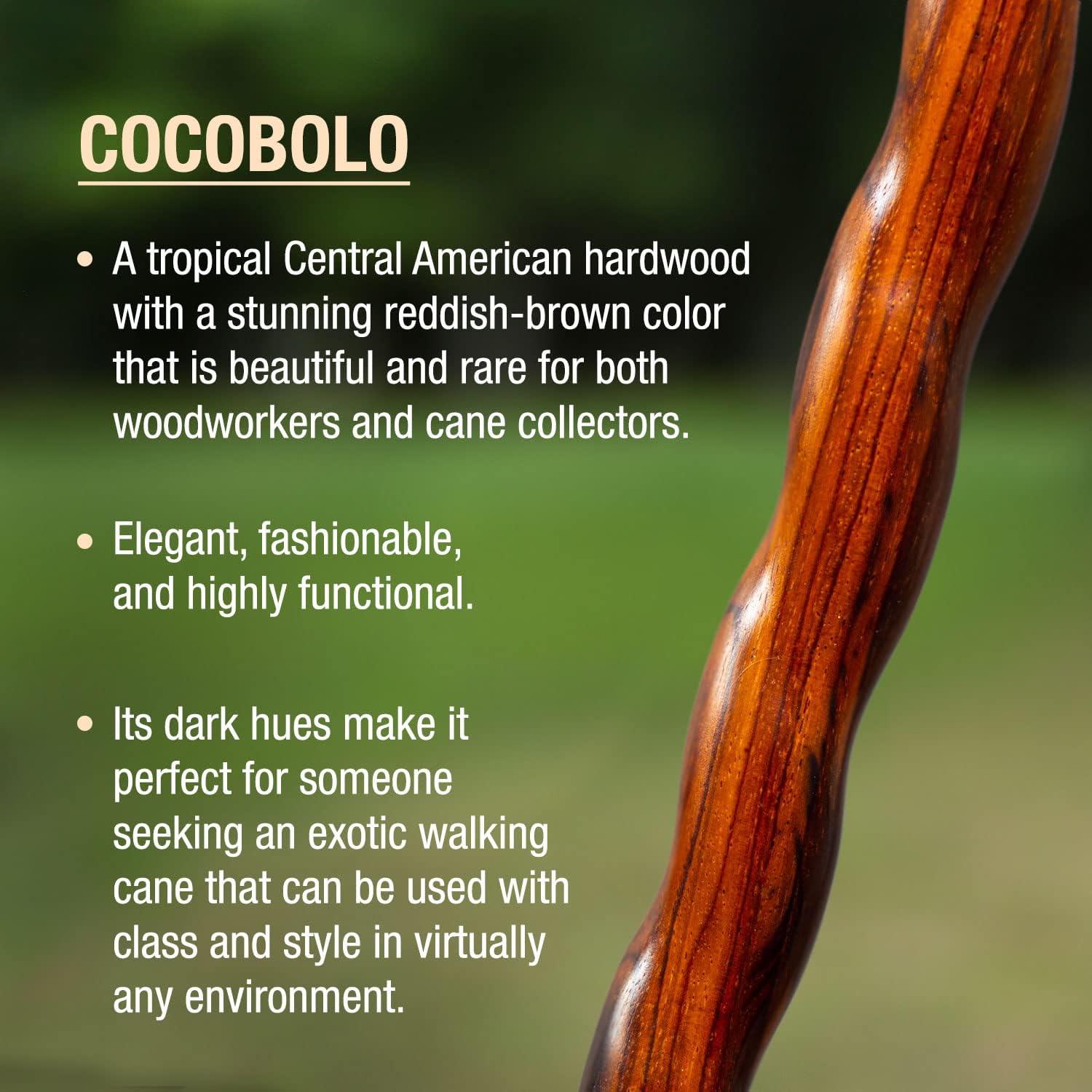 Brazos Handcrafted Wood Walking Cane, Twisted Cocobolo, Derby Style Handle, for Men & Women, Made in the USA, 37"