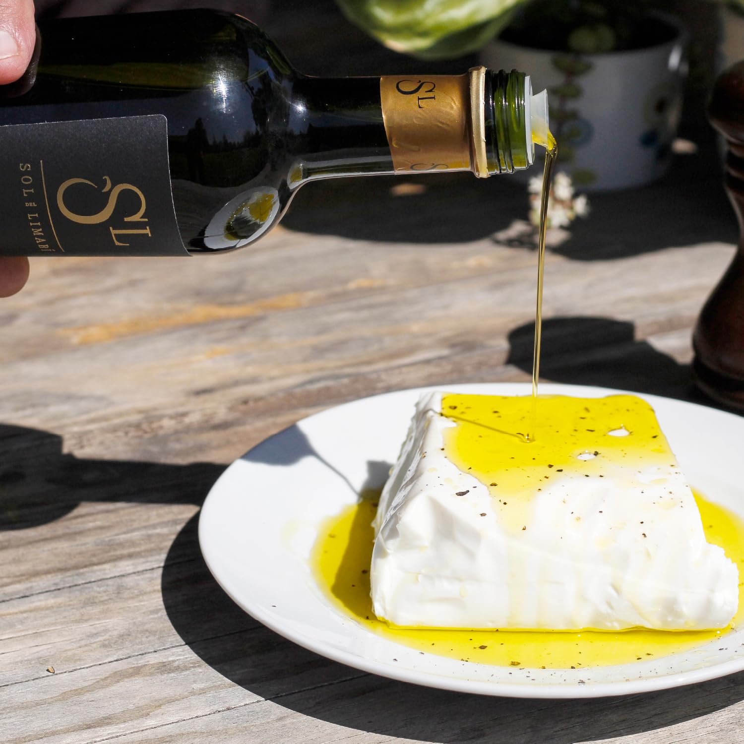 Sol del Limari - Extra Virgin Olive Oil with Polyphenol Rich - Premium Blend - First Cold Press - Aceite de Oliva Extra Virgen (16.9 Fl Oz)