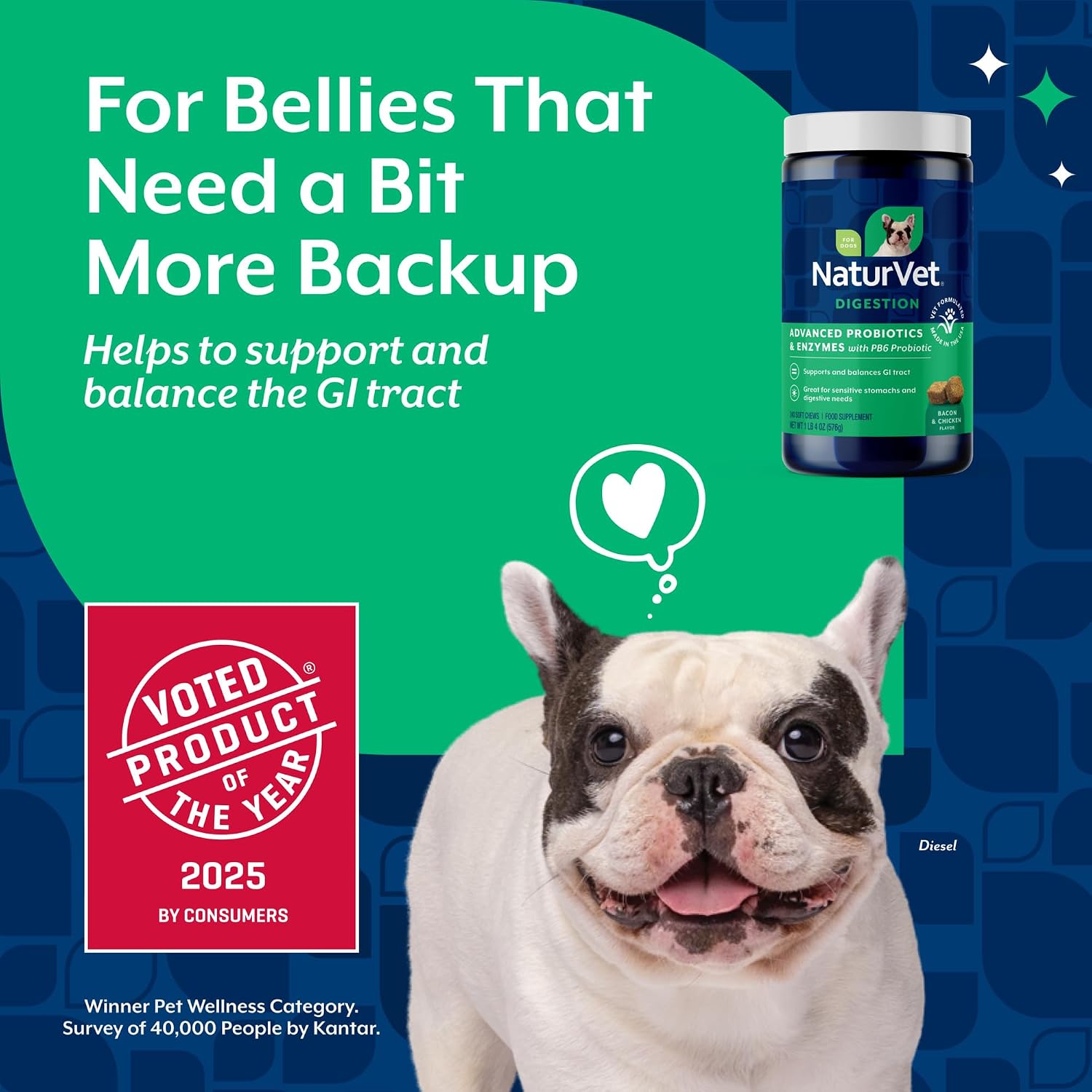 NaturVet Digestive Enzymes with Pre & Probiotic for Dogs & Cats - 8 oz | Supports Diet Changes & a Healthy Digestive Tract with Prebiotics, Powder