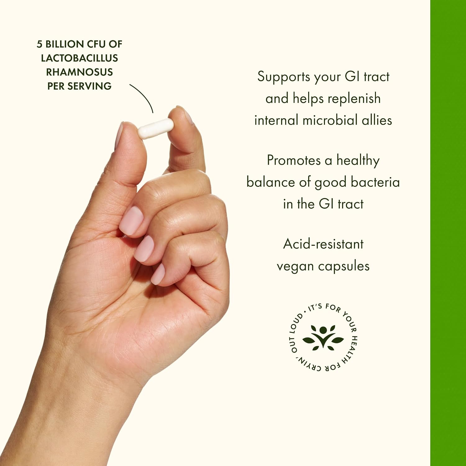Swanson Lactobacillus Rhamnosus with FOS, 5 Billion CFU, 60 Veggie Capsules | Digestive Health Support with Fructooligosaccharides, Probiotic Support for Gastrointestinal Health, Acid-Resistant Vegan