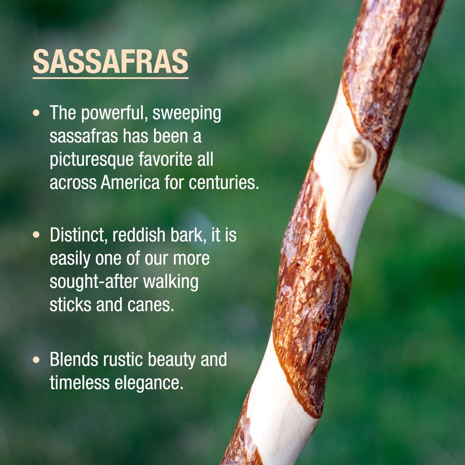 Brazos Wooden Walking Canes for Men and Women, Stable Walking Sticks for Seniors, Made in The USA