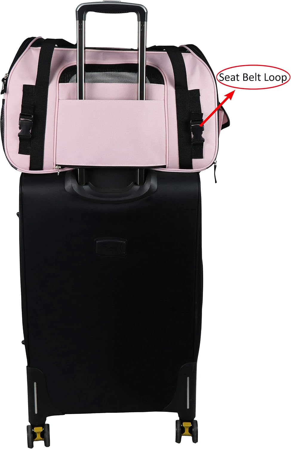 EliteField Soft-Sided Pet Carrier for Cats & Small Dogs (3-Year Warranty) | Airline Approved, Removable Bed & Cover, Built-In Leash, Luggage Sleeve, Seat Belt Loop, Waterproof, Durable, Foldable