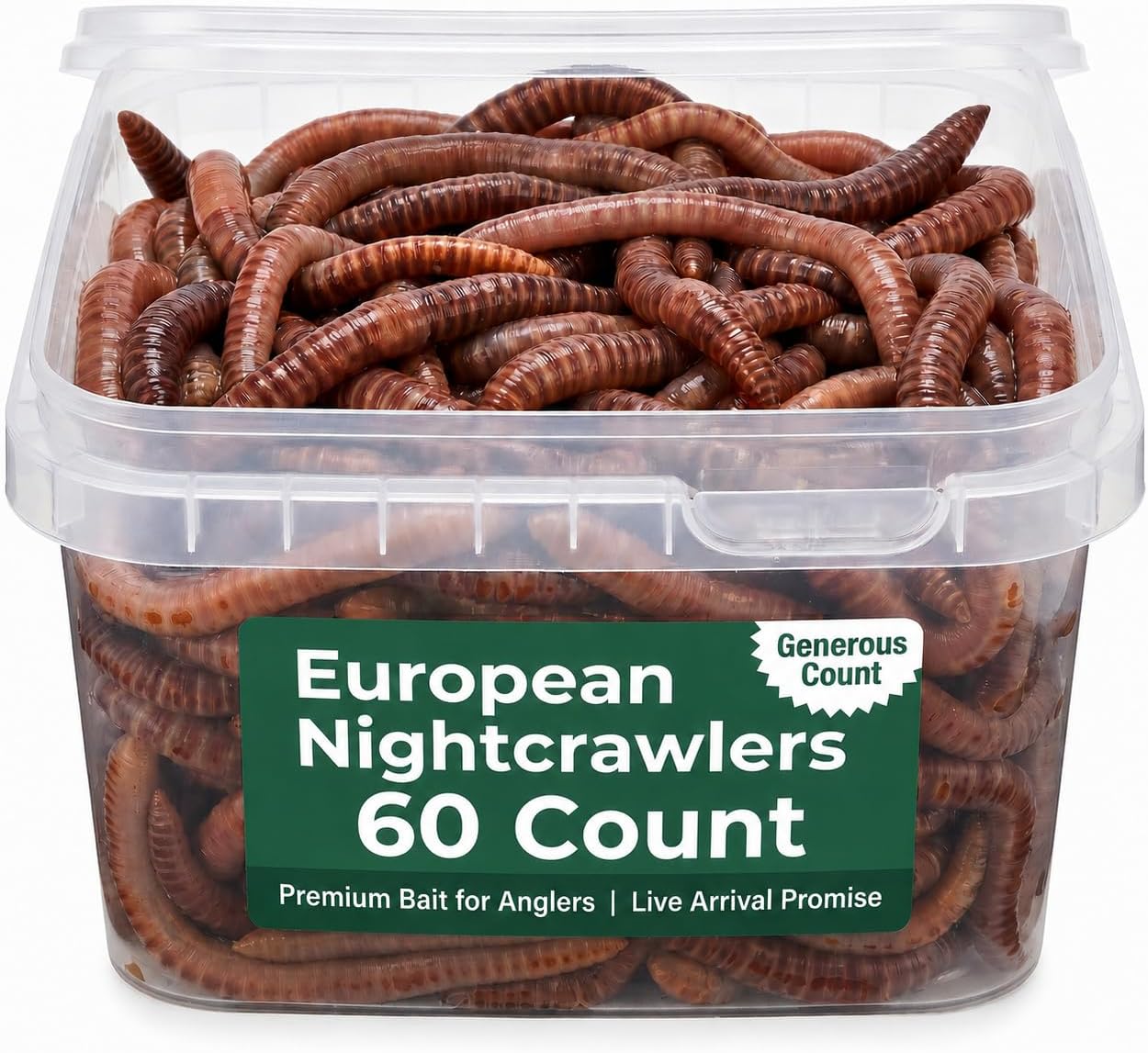 Live PANFISH European Nightcrawlers Composting Worms Fishing Worms