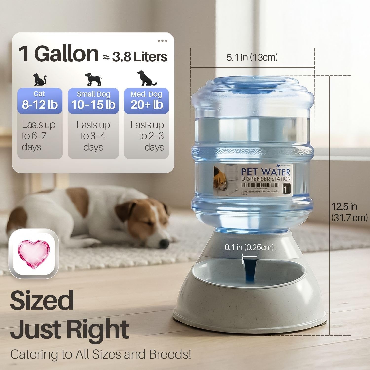 Flexzion Gravity Pet Feeder, Dog and Cat Food Dispenser, 1-Gallon Capacity | Self-Replenishing Dry Food Station with Non-Skid Feet and a Carry Handle; Holds Approximately 4-6 Lb Of Kibble