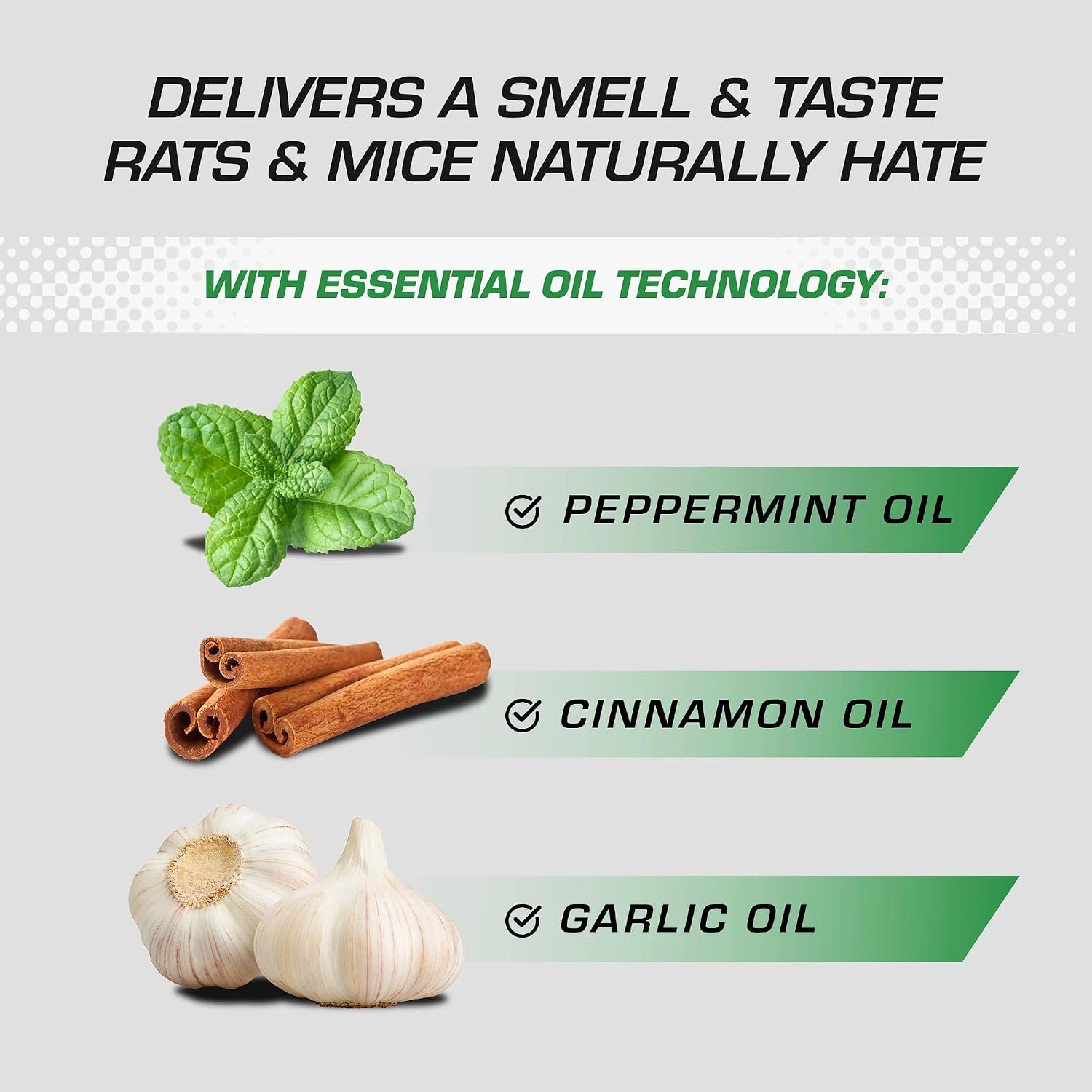 Tomcat Repellents Rodent Repellent Ready-to-Use with Comfort Wand, 1 gal. | For Indoor and Outdoor Mouse and Rat Prevention, Peppermint Oil Spray for Rodents with Cinnamon & Garlic Essential Oils
