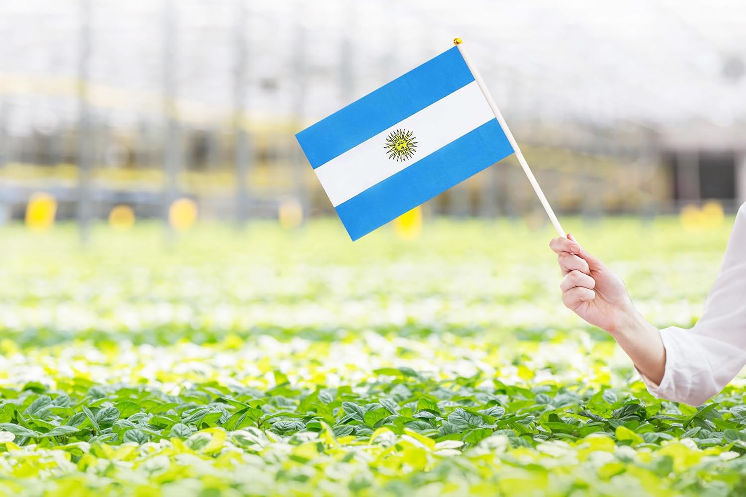 50 Pack Nicaragua Nicaraguan on Stick Flags,Small Mini Hand Held Nicaragua Nicaraguan Flags 5.5x8.3 Inch, Grand Opening, Carnival,Party Events Celebration