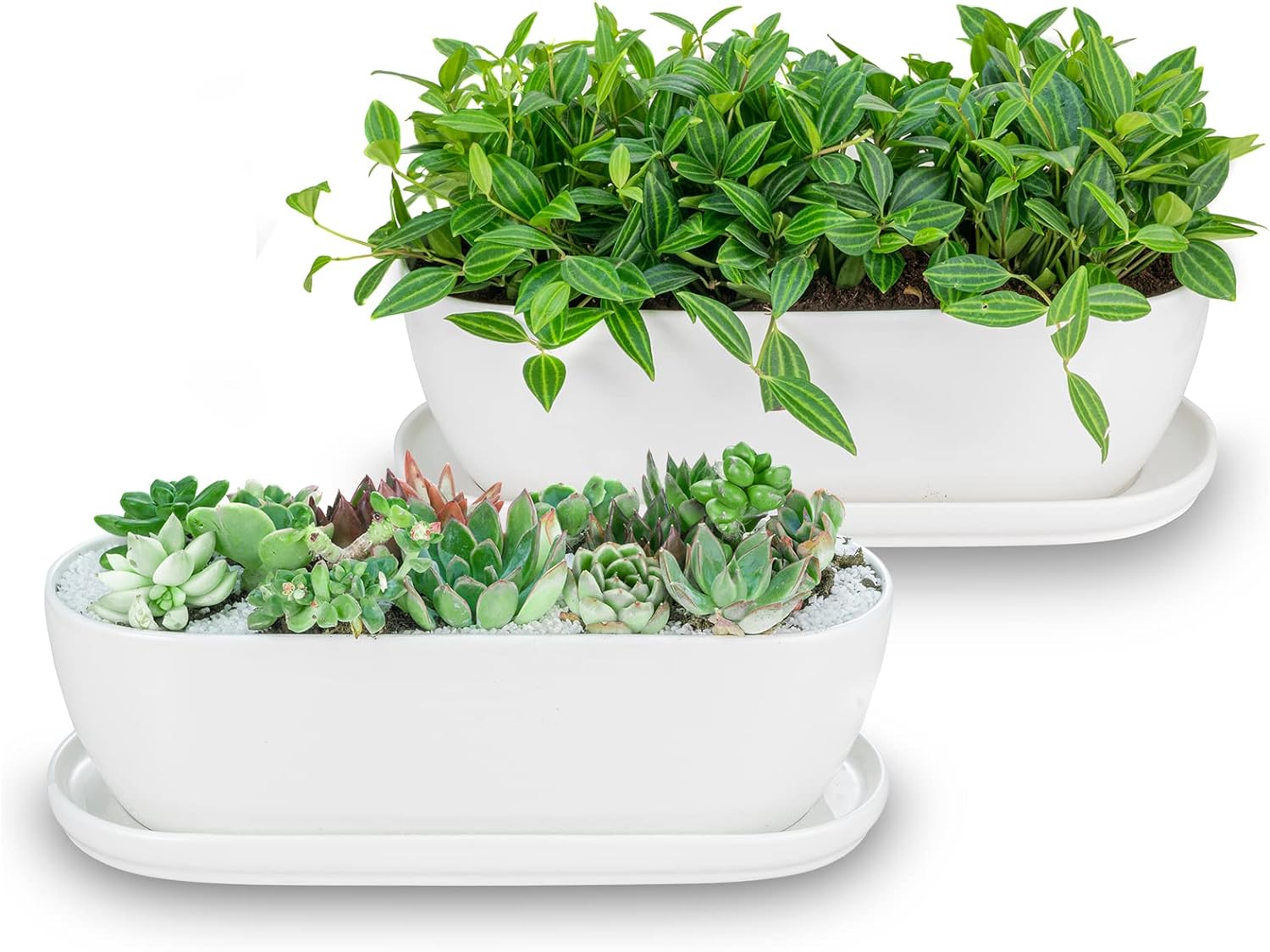 E-liu 11 Inch Oval Ceramic Planter Pot with Drainage Hole Saucers