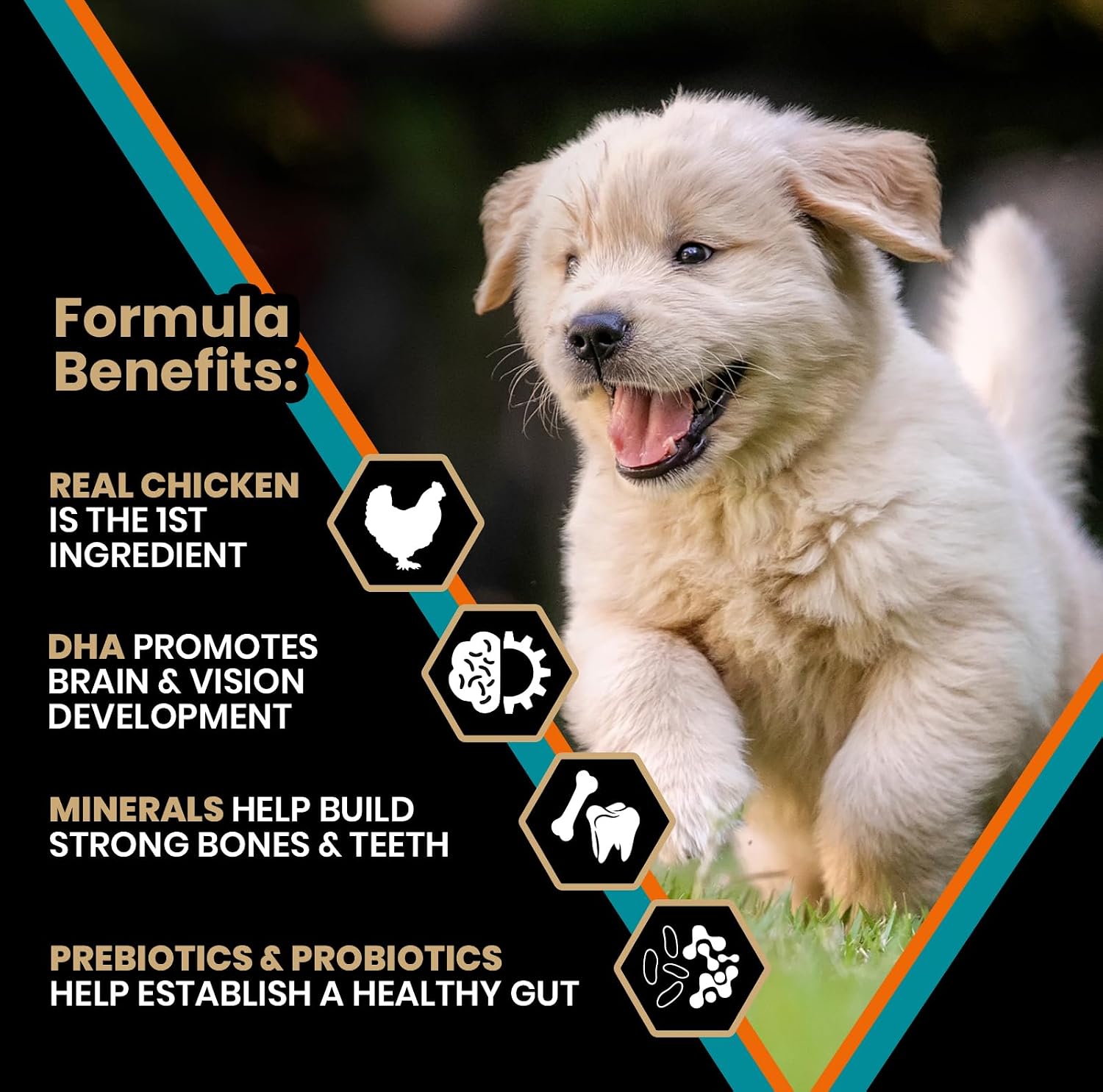 VICTOR Hi-Pro Plus Dry Dog Food - High Protein Gluten Free Dry Kibble, 5lb | Super Premium Dog Food, 30% Protein, Beef, Chicken, Pork and Fish Meals, For High Energy & Active Dogs & Puppies, 5lbs