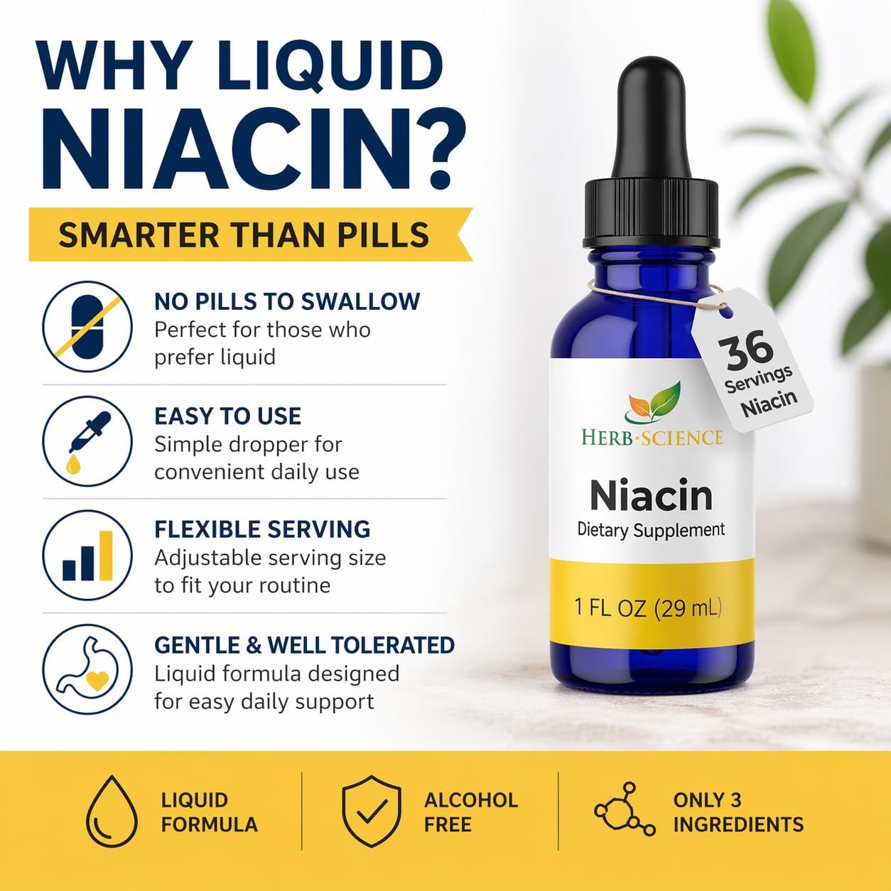 Liquid Vitamin B3 Niacin Drops, Alcohol-Free, 1 Oz | Easy-to-Take Liquid Formula with Flexible Serving, Vegan, Non-GMO