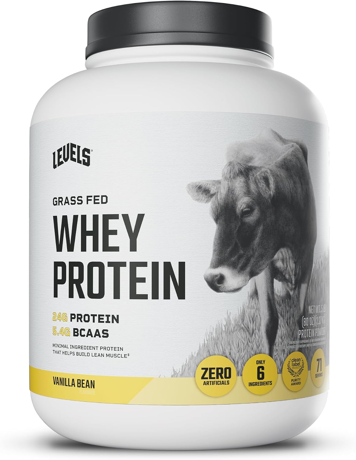 Levels Whey Protein Powder, No Artificial Ingredients, Pure Chocolate, 5LB | 24G of Protein, 5.4G BCAAs, Clean Ingredients, Hormone Free Dairy, No Fillers, No Added Sugar, No Junk