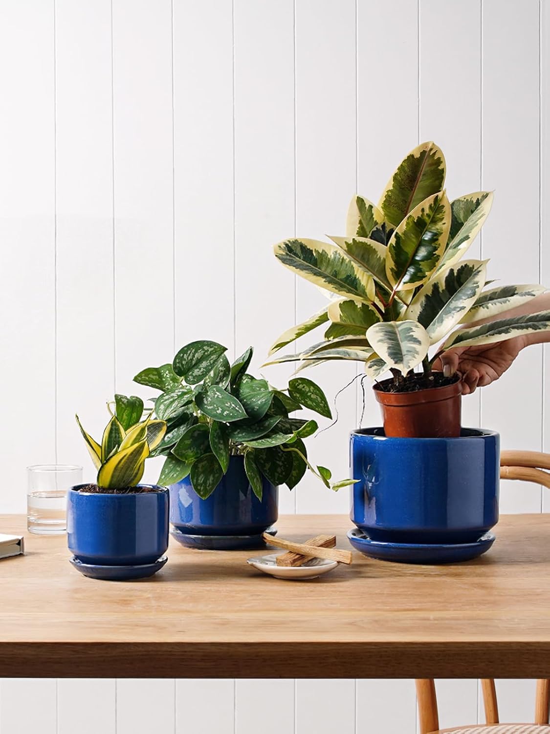 LE TAUCI Ceramic Plant Pots, 4.3+5.3+6.8 inch, Set of 3, Planters with Drainage Hole and Saucer, Indoor Flower Pot with Hole Mesh Pad, Gifts for Mom