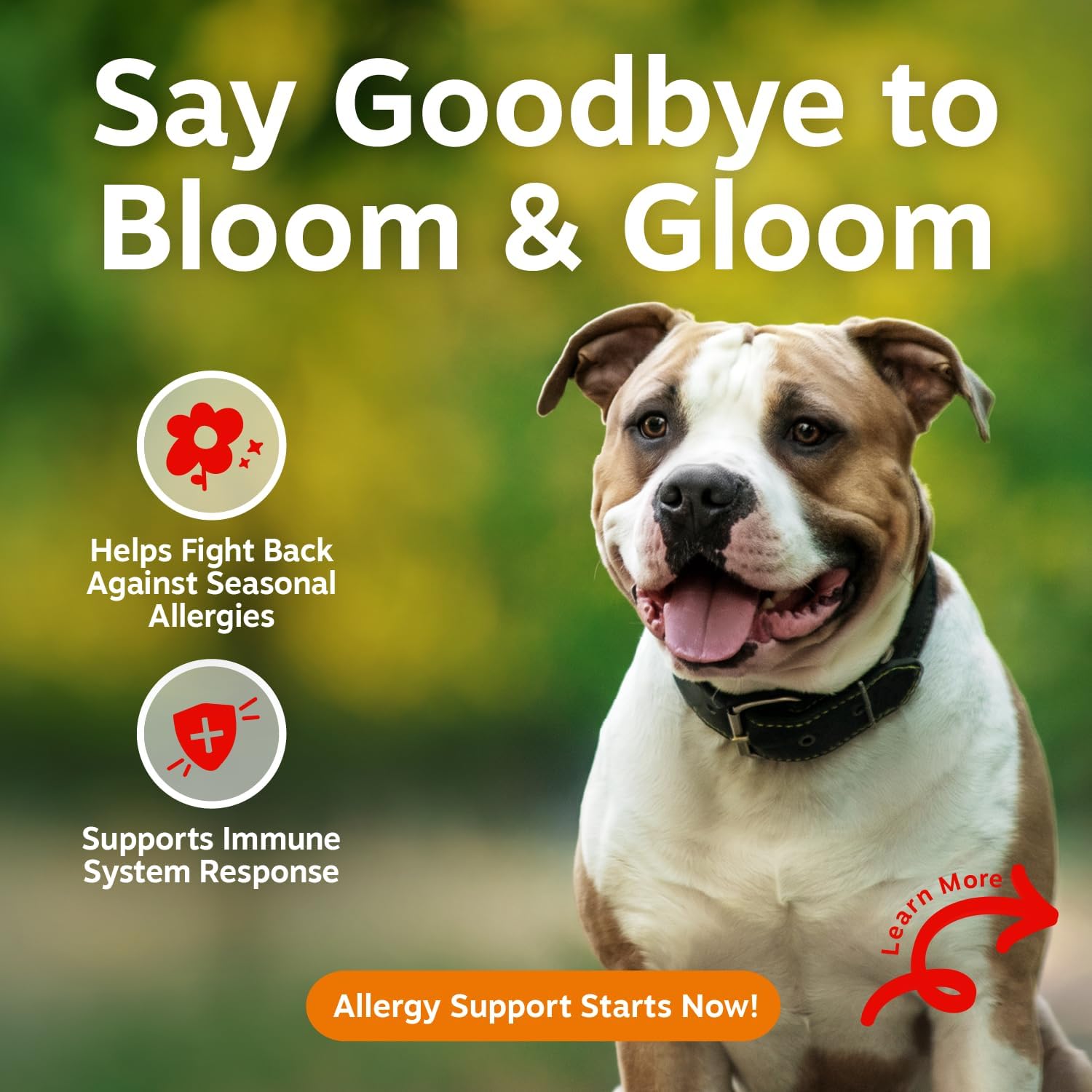 Zesty Paws Allergy Immune Bites - Dog Allergy Chews, Dog Probiotics for Itchy Skin and Ears, Lamb, 90ct