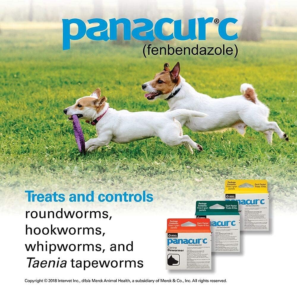 Panacur C Canine Dewormer Dogs 1 (3 Packets) Gram Each Packet Treats 10 lbs