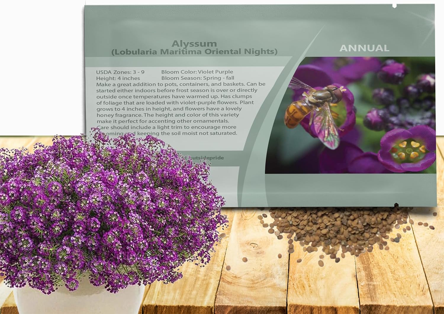 Outsidepride Oriental Nights Alyssum Seeds - 5000 Pcs Annual, Drought-Tolerant & Pollinator-Friendly Ground Cover Seeds w/Fragrant Honey Blooms for Low-Growing Xeriscaping & Outdoor Planting