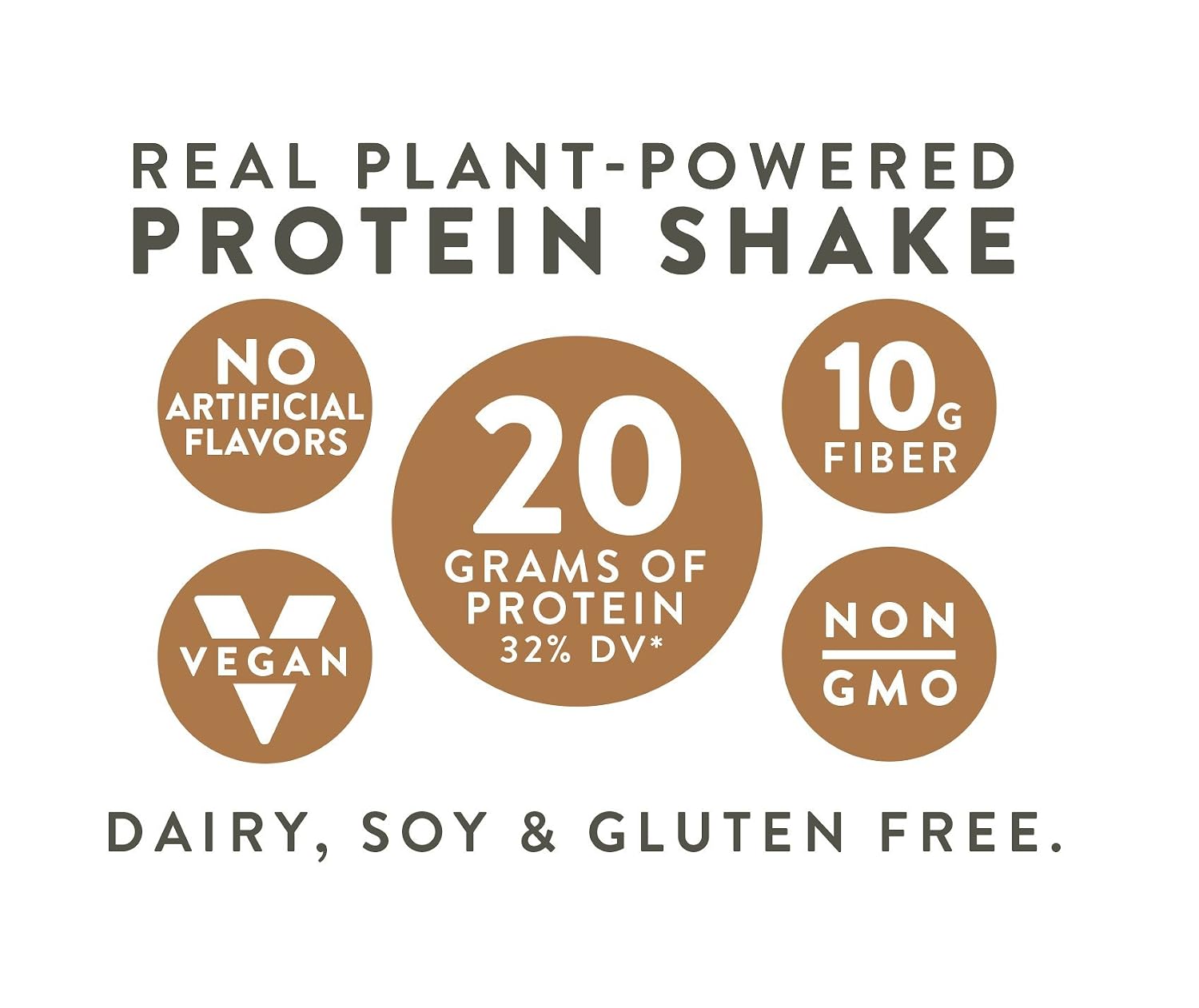 Evolve Plant Based Protein Shake, Café Mocha, 20g Vegan Protein, Dairy Free, No Artificial Sweeteners, Non-GMO, 10g Fiber, 11oz, (12 Pack) (Formula May Vary)