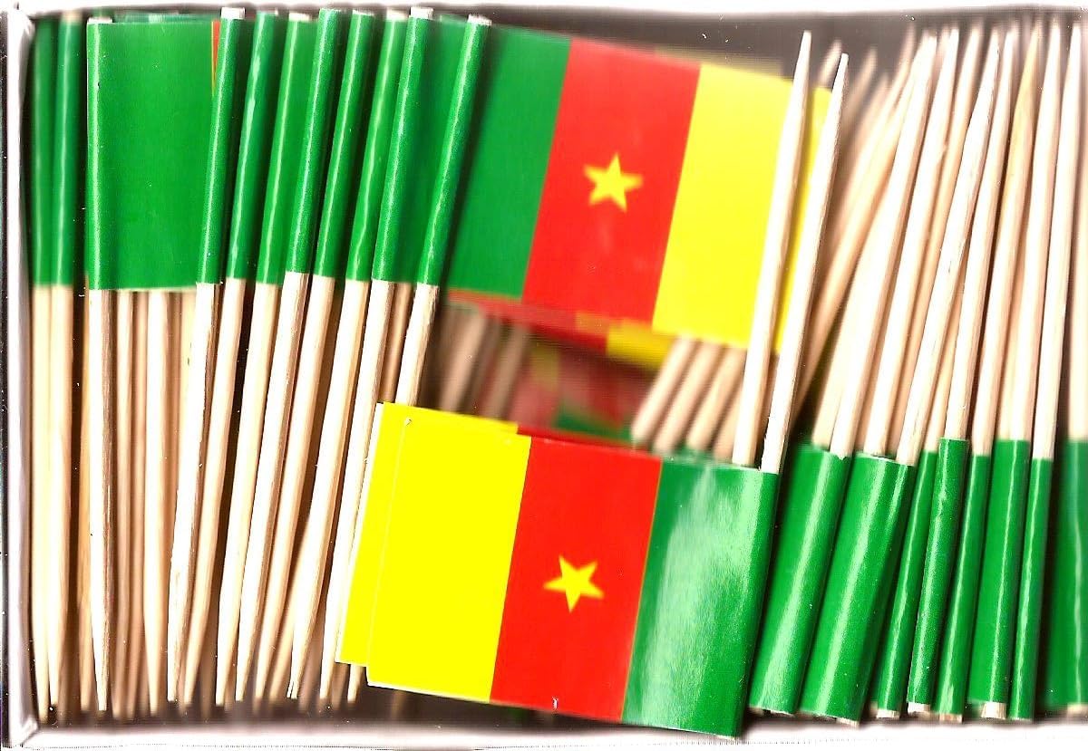 One Box of 100 Nicaragua Toothpick Flags, 100 Small Mini International Flag Cupcake Toothpicks or Cocktail Picks