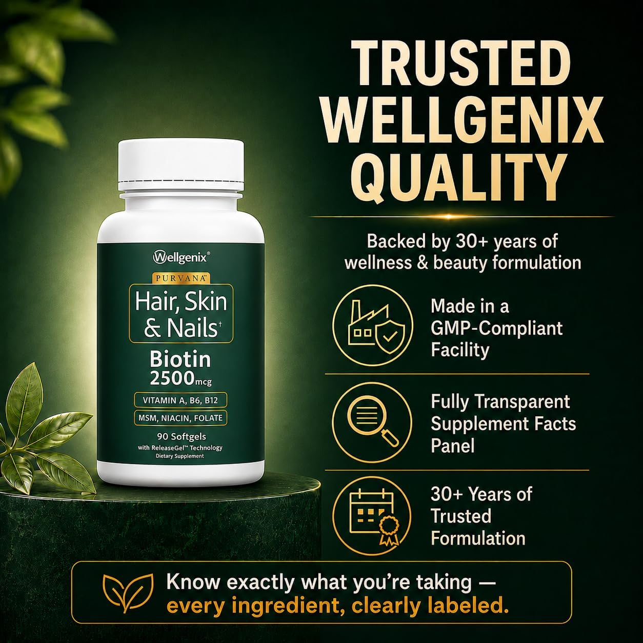 Wellgenix Purvana Hair Skin and Nails Supplement – 2500mcg Biotin Softgels with MSM & B-Complex – Daily Beauty Support for Stronger Nails & Hair Vitality – 90 Softgels | MSM, alpha lipoic acid & grape seed softgels for thicker-looking hair, stronger-look…