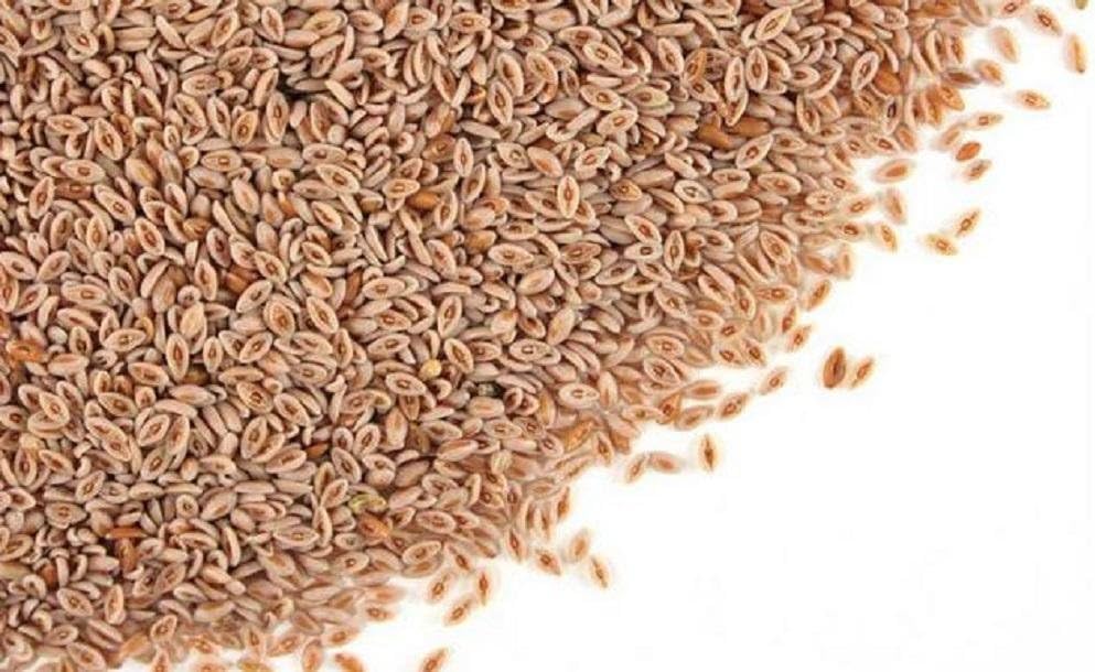 Psyllium Seed Husk Whole (1 lb)