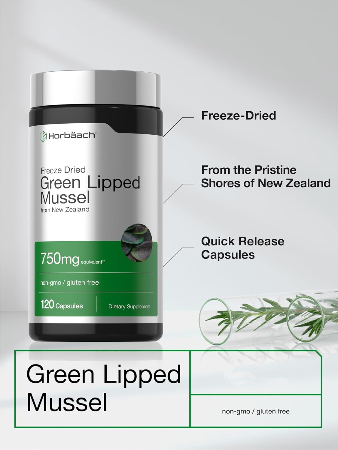 Horbäach Green Lipped Mussel |120 Capsules | from New Zealand
