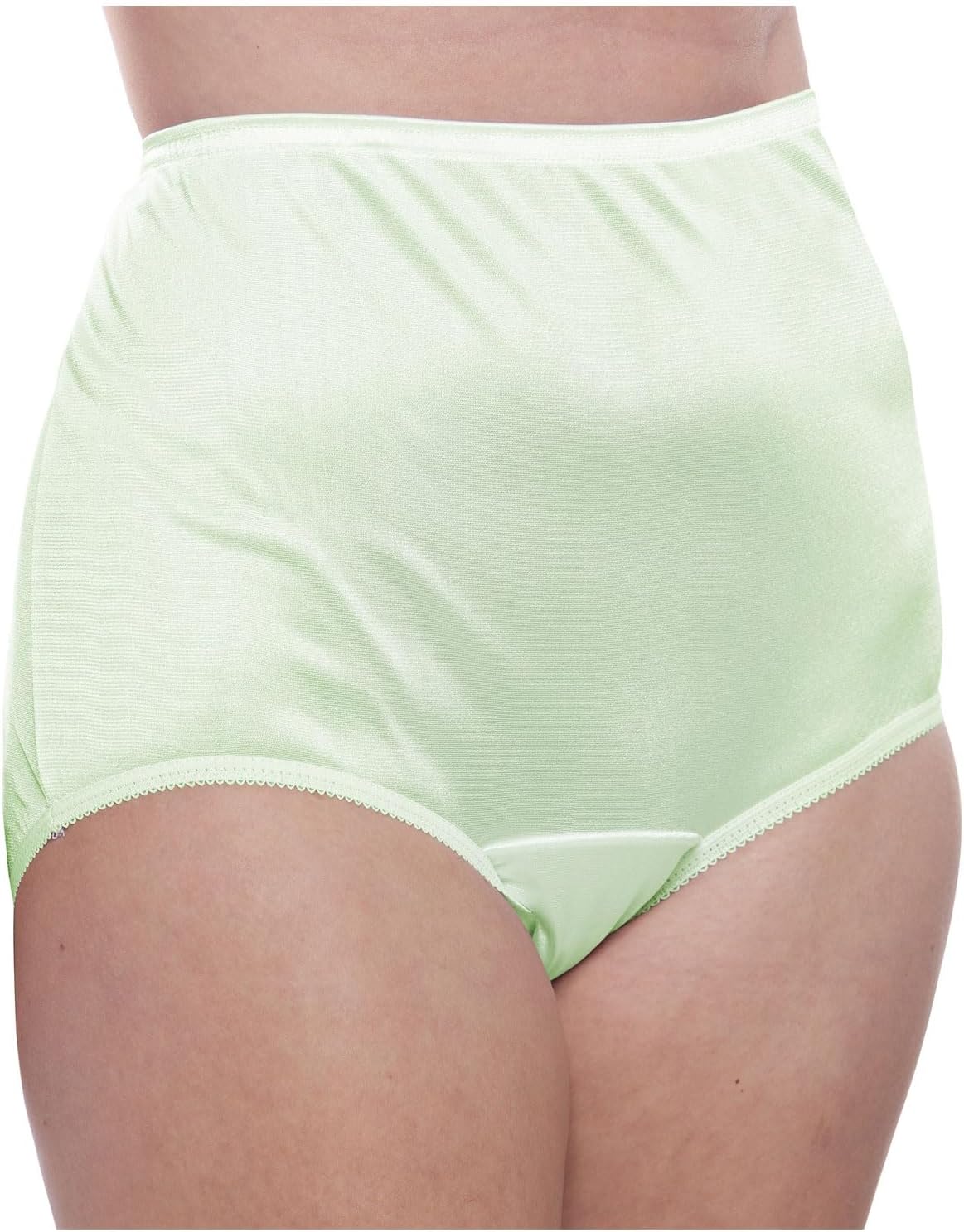 Teri Women's 331 Plain Jane Classic Nylon Silky-Smooth Lightweight Breathable Full Coverage Brief Panty - 4 Pack