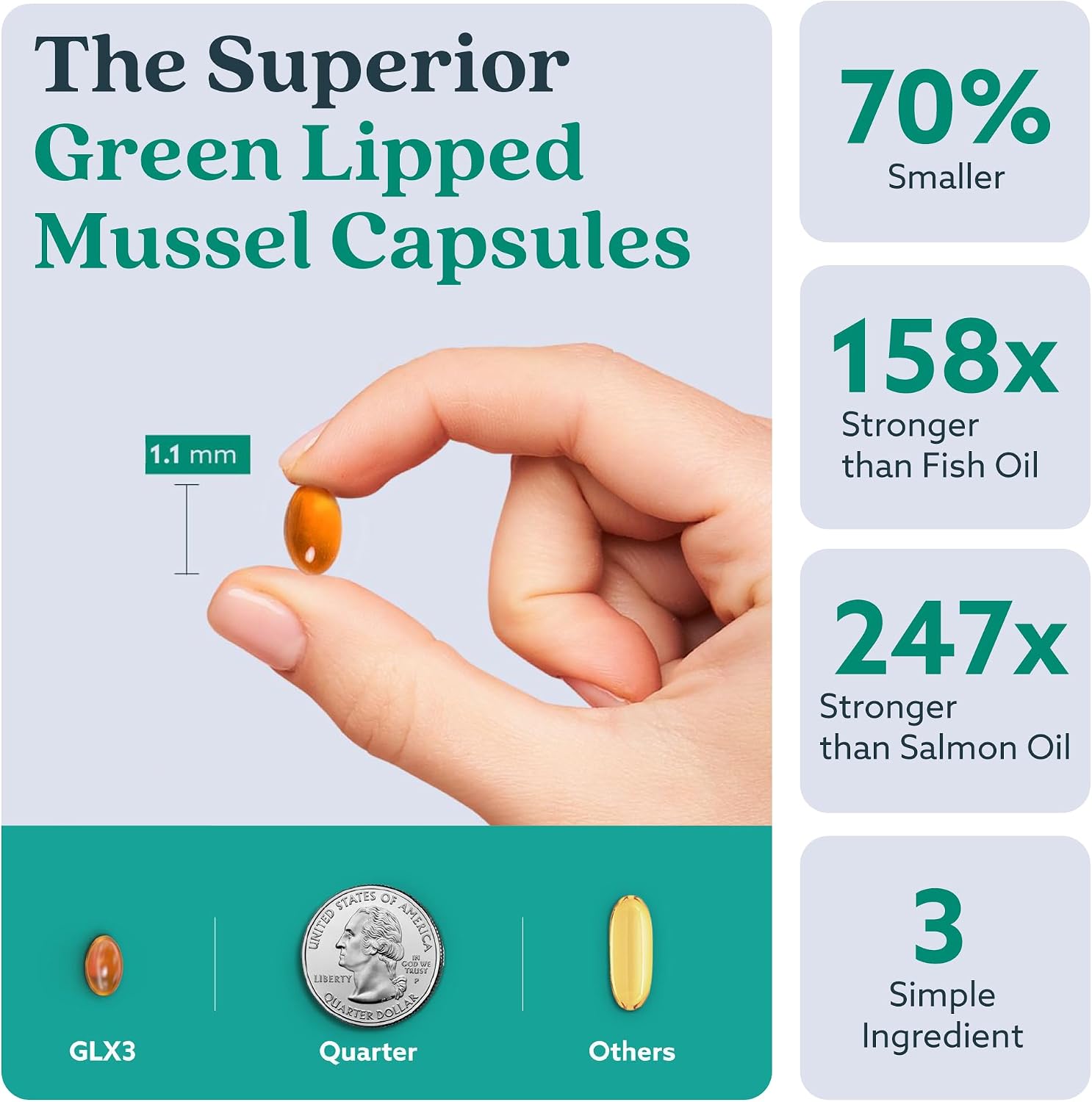 Haka Life GLX3 Green Lipped Mussel Oil Capsules for Joint and Muscle Support | Extra-Strength Omega-3 Green Lipped Mussel Supplement for Comfort, Flexibility & Recovery | Contains ETA, EPA, DHA