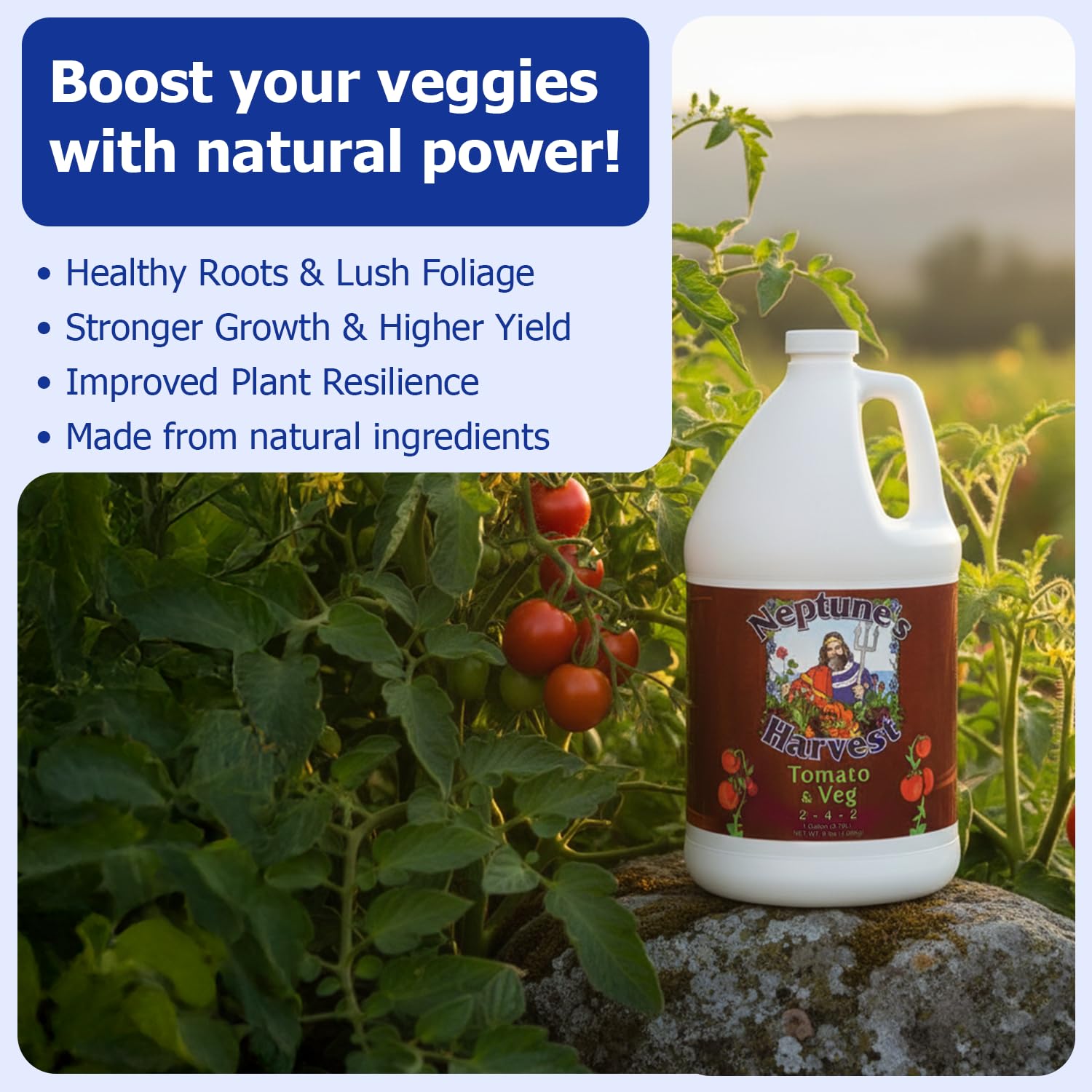 Neptune’s Harvest Organic Tomato & Vegetable Plant Fertilizer (2-4-2) - Liquid Plant Food w/Fresh Fish, Seaweed, Molasses, Yucca Extract, & Humic Acids - for Vegetable Garden (Gallon)