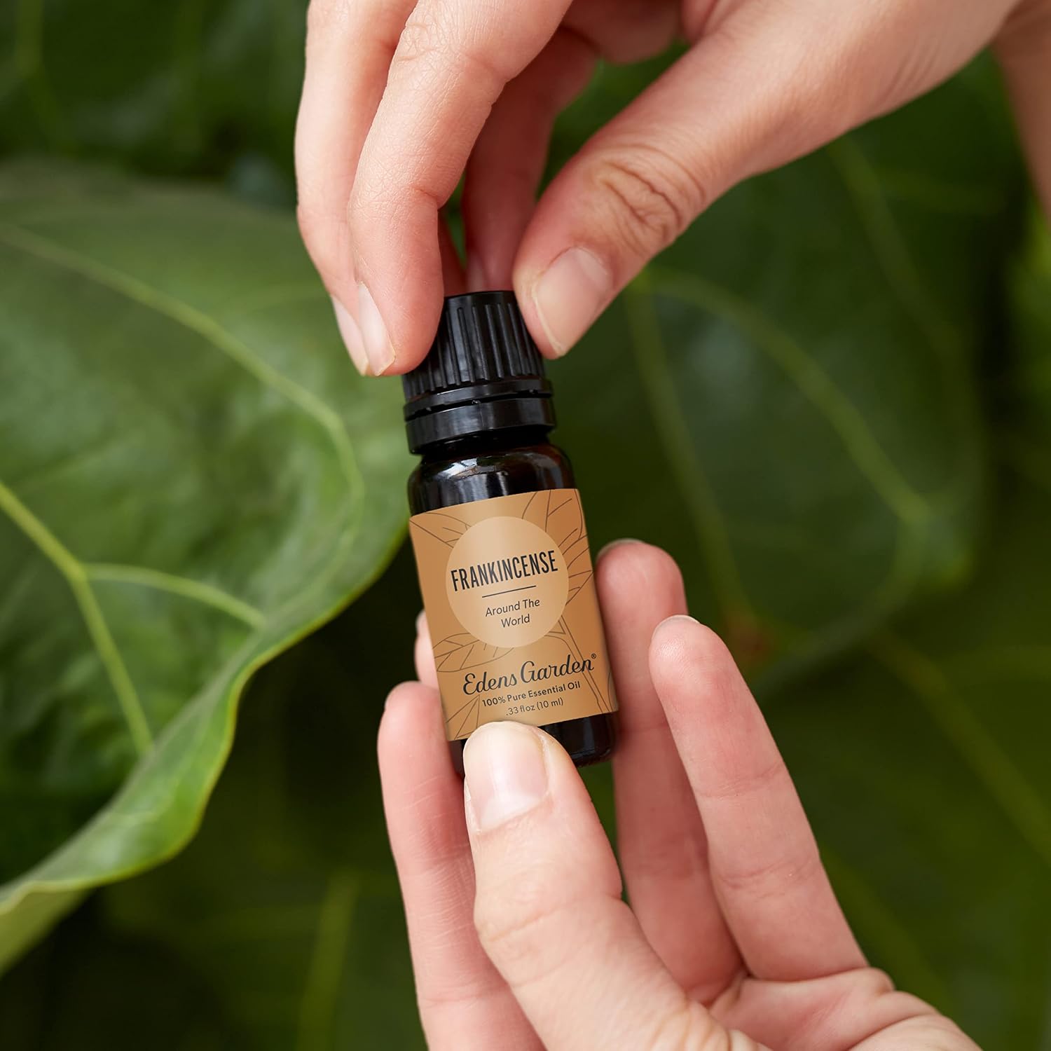 Edens Garden Cedarwood-Texas Essential Oil- 100% Pure 10 ml (.33 fl oz)