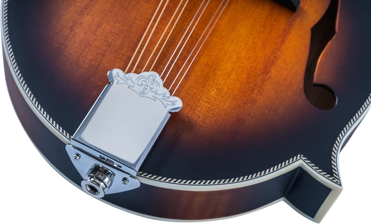 Washburn M3SEBRK F-Style Mandolin Brown Burst | Spruce top; Maple back and sides
