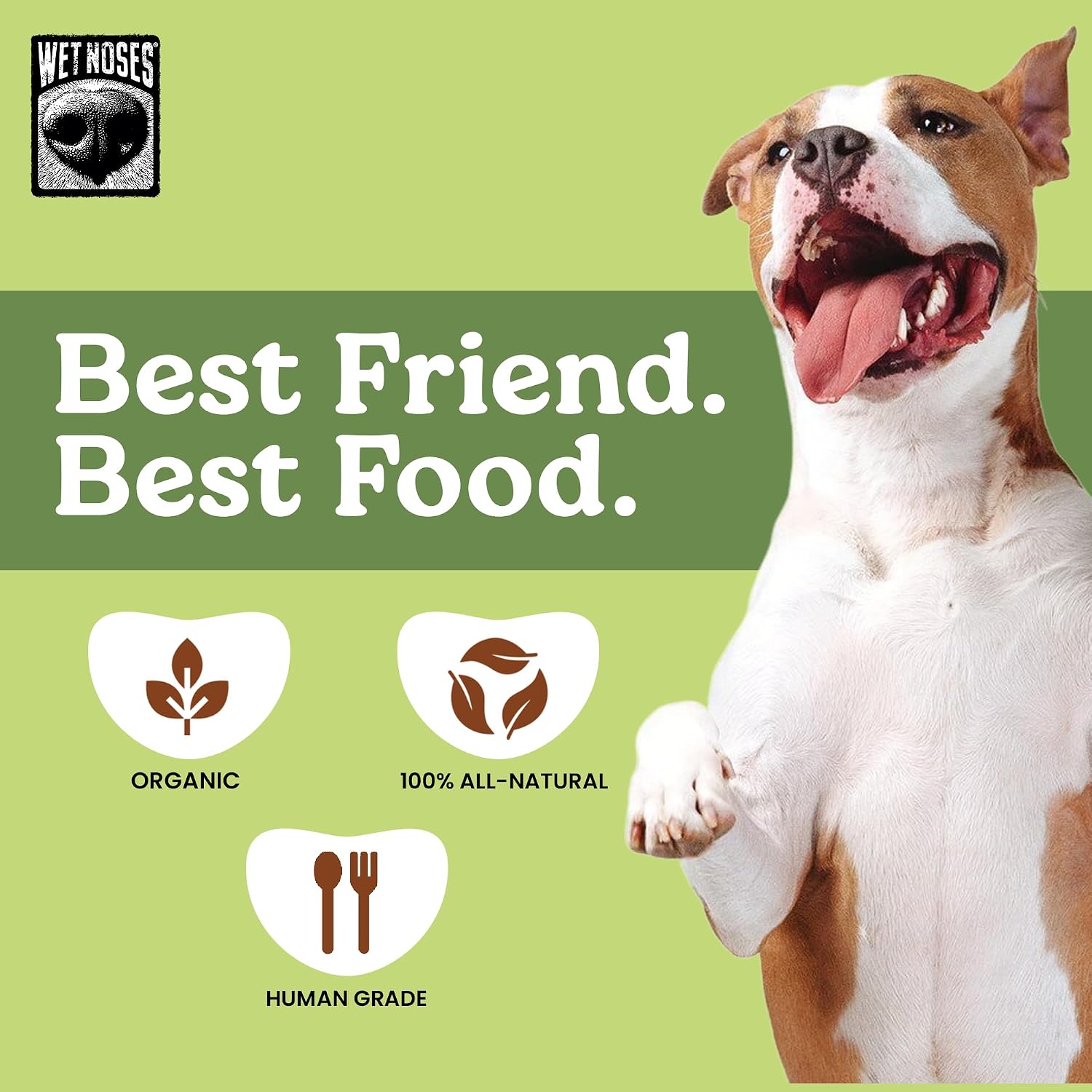 Wet Noses Organic Crunchy Dog Treats – All-Natural, Human-Grade, Non-GMO, Healthy Training & Delicious Snacks for Dogs