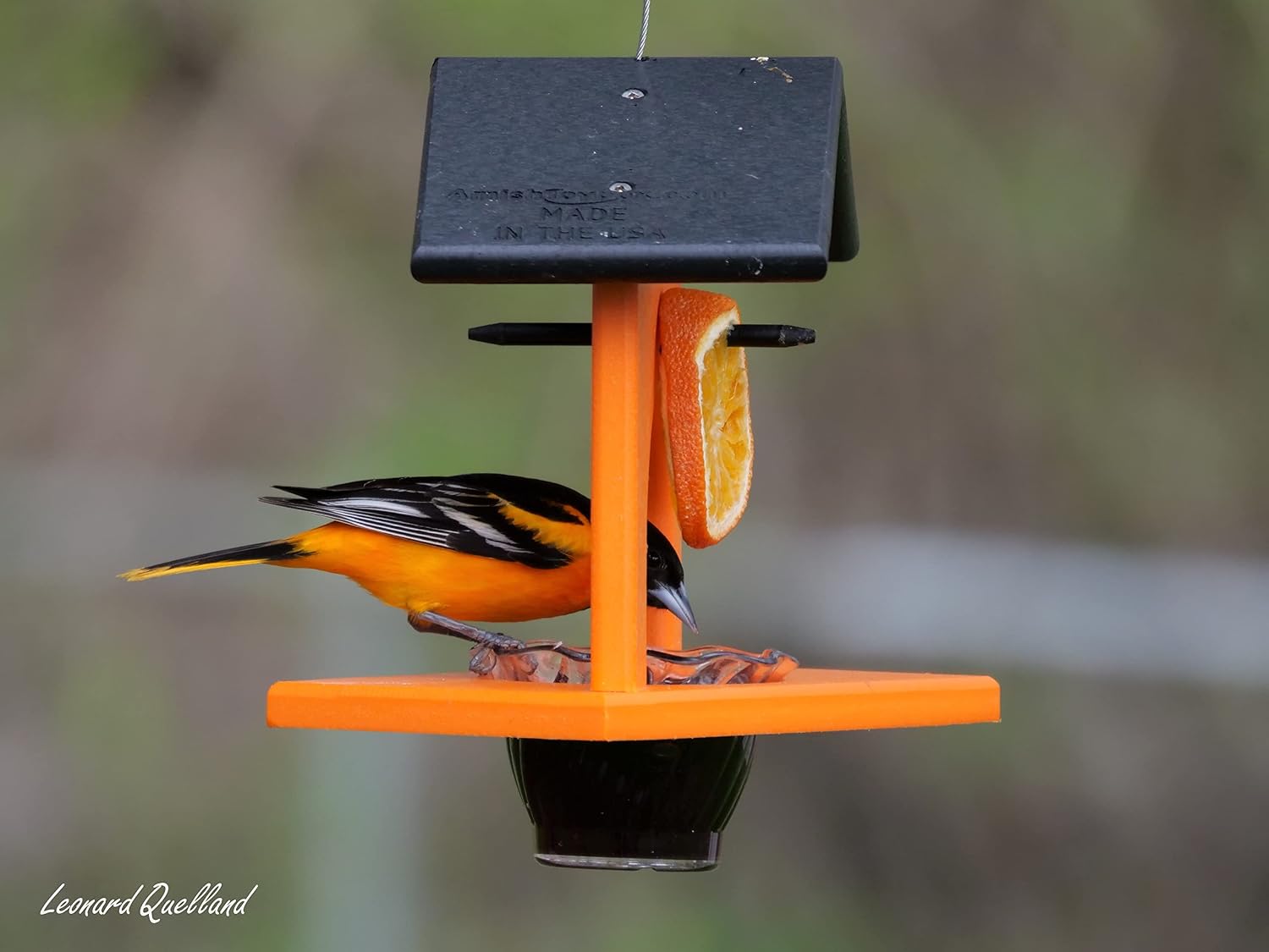 Oriole Bird Feeder, Poly Lumber Hanging Oriole Jelly Feeder (Black/Orange)