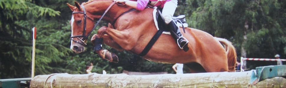 An equestrian show jumping scene showing a chestnut horse and rider clearing a horizontal pole obstacle, with green trees in the background.