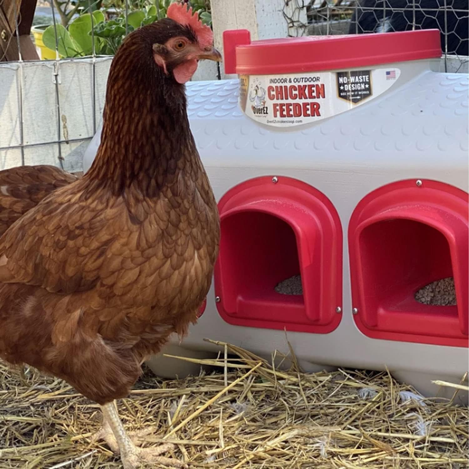 OverEZ Chicken Feeder - Holds 50 Pounds of Feed - Inside or Outside Hen Coop - Large Gravity Fed Automatic Poultry Dispenser - No Waste Rainproof