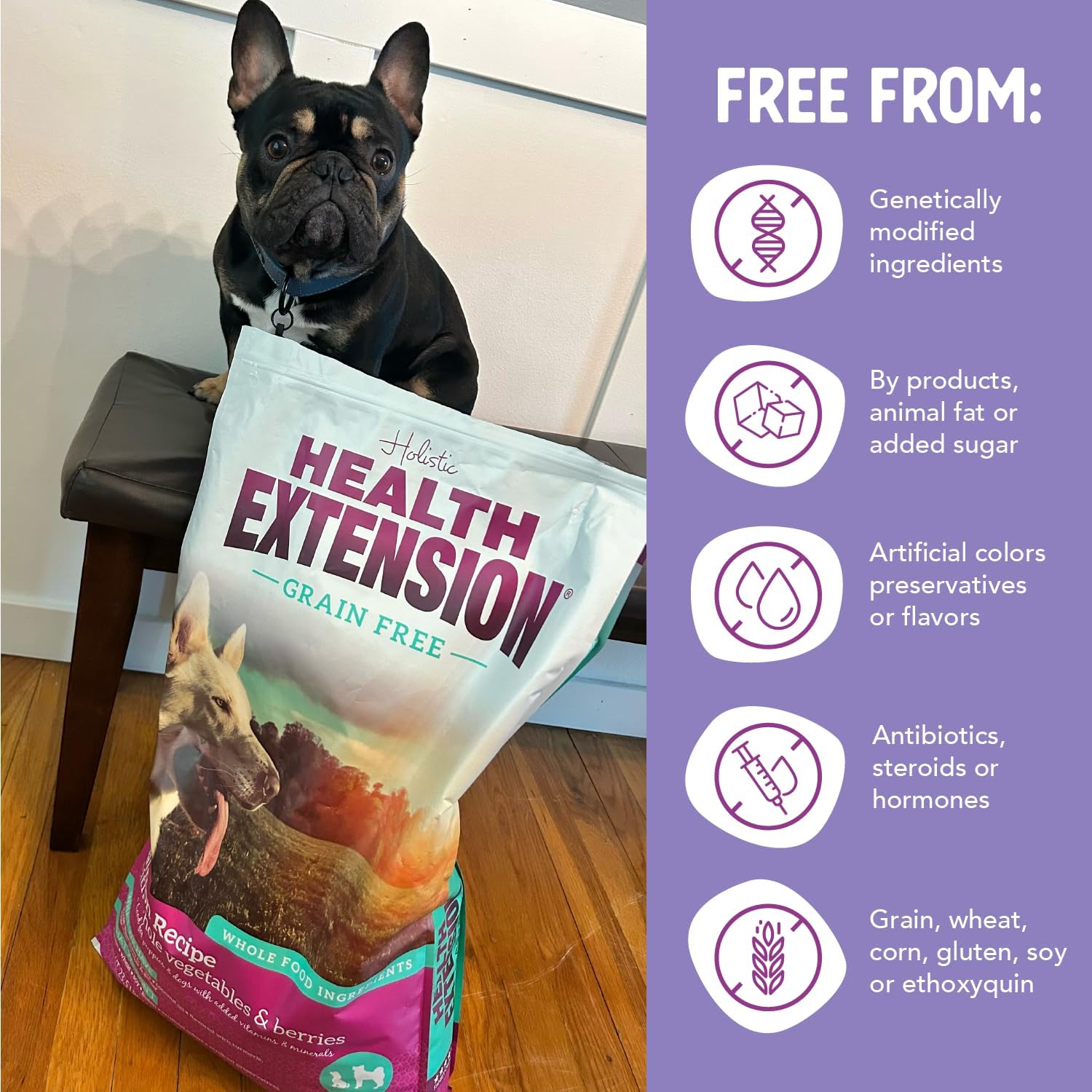 Health Extension Grain Free Venison & Sweet Potato Dry Dog Food - 30+ Superfoods and Probiotics for All Life Stages (10 lb)