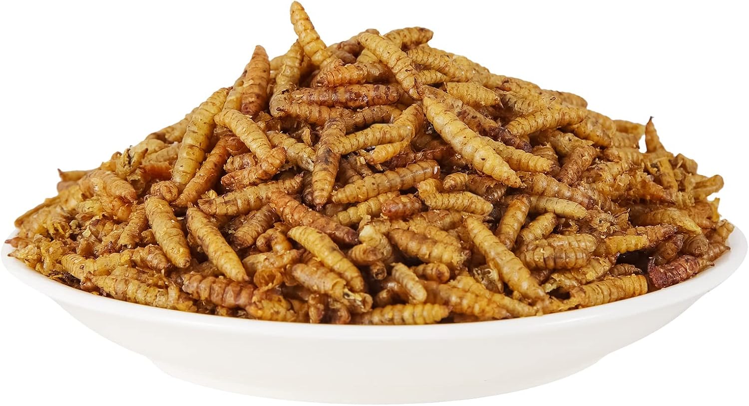 20lb Dried Mealworms for Chickens Duck High Protein Birds Treat