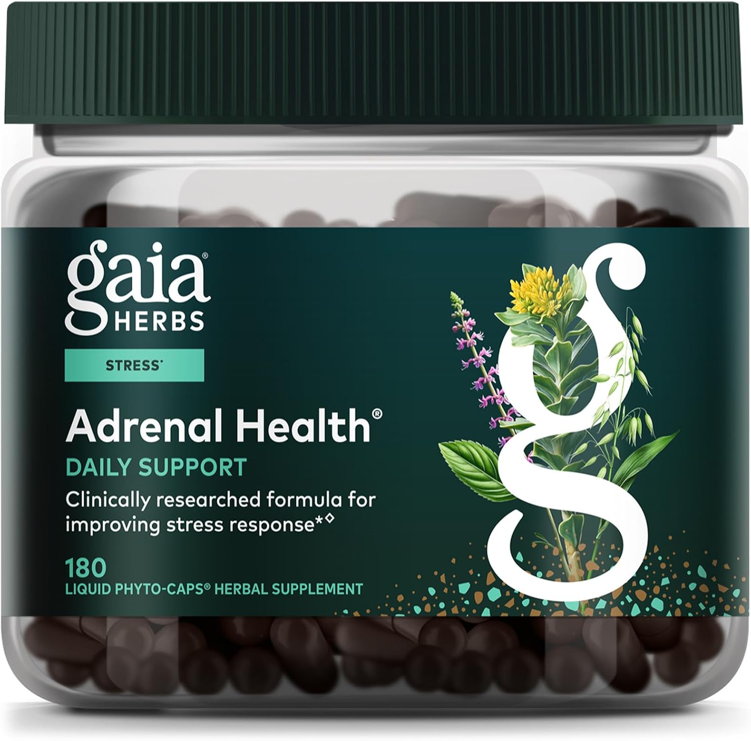 Gaia Herbs Adrenal Health Daily Support - Herbal Supplement with Ashwagandha, Holy Basil & Schisandra - Help Maintain Healthy Energy & Stress Levels* - 60 Vegan Liquid Phyto-Caps (30 Servings)