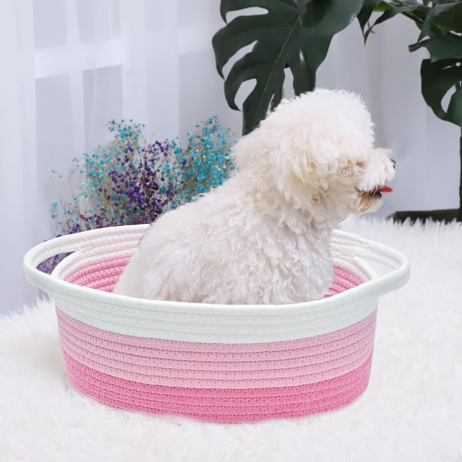 ABenkle Small Basket with Handles, Boho Decorative Rope Woven Dog Cat Toy Storage Bin Shelf Storage Organizer, Easter Christmas Gift Basket, 12"x8"x5"