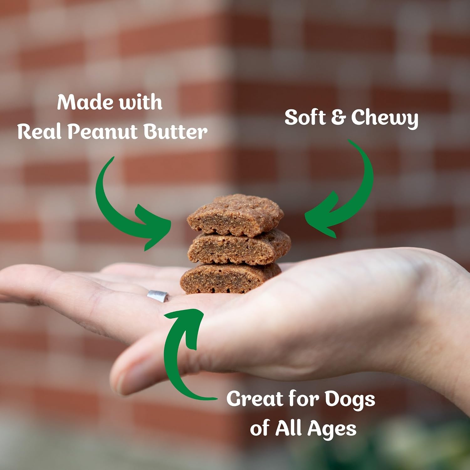 Blue Dog Bakery Natural Dog Treats, Softies, Peanut Butter Flavor, 16.2oz Bag, 6 Bags | Soft & Chewy Oven-Baked Dog Treat Chews, Made with Real Peanut Butter & Other Real Premium Wholesome Ingredients in the USA