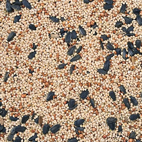 Wild Delight Buffet Wild Bird Food, 20 lb