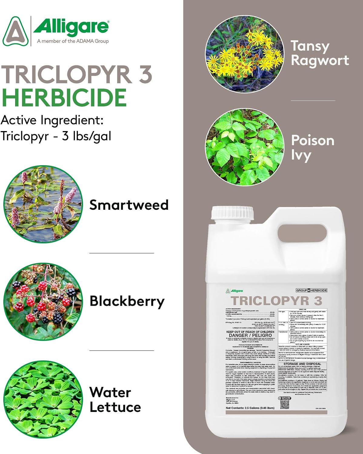 ALLIGARE -Triclopyr 3 Herbicide - Selective Weed Killer for Woody Plants, Grass, & Brush - Ideal for Forests, Non-Crop Areas