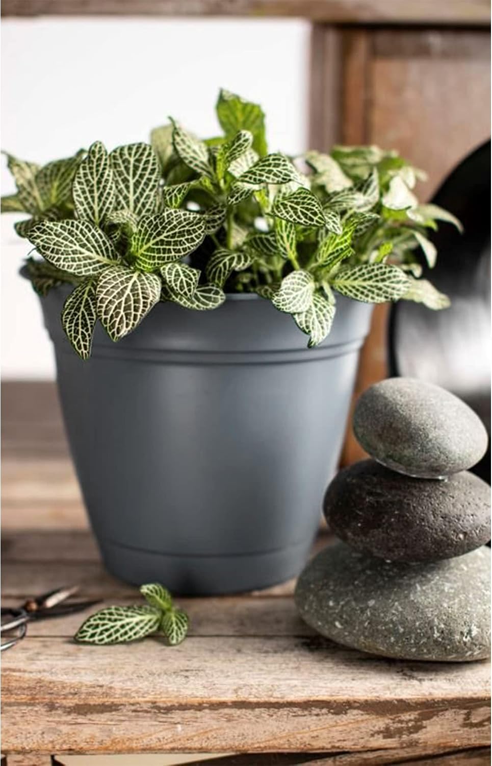 The HC Companies Eclipse Round Planter with Saucer - Outdoor & Indoor Plant Pot with Drainage Holes - Lightweight