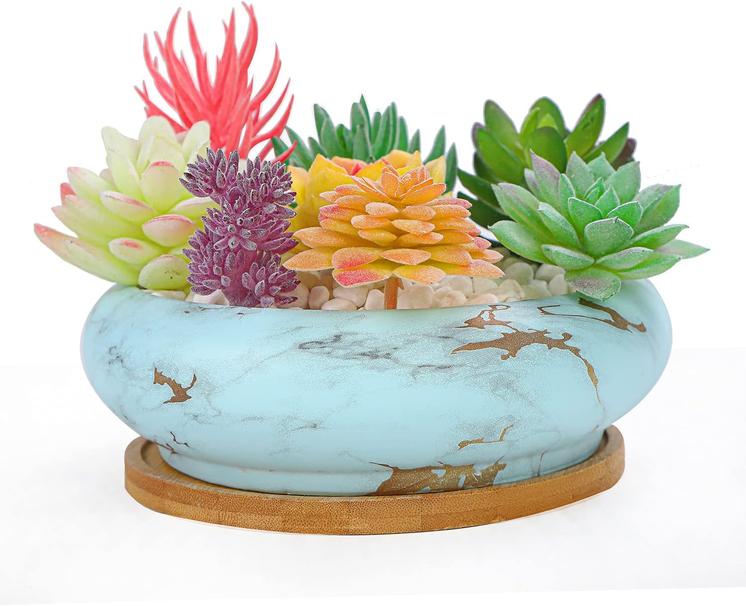 Succulent Pots, 7.3'' Large Bonsai Pots with Tray, Shallow Planters