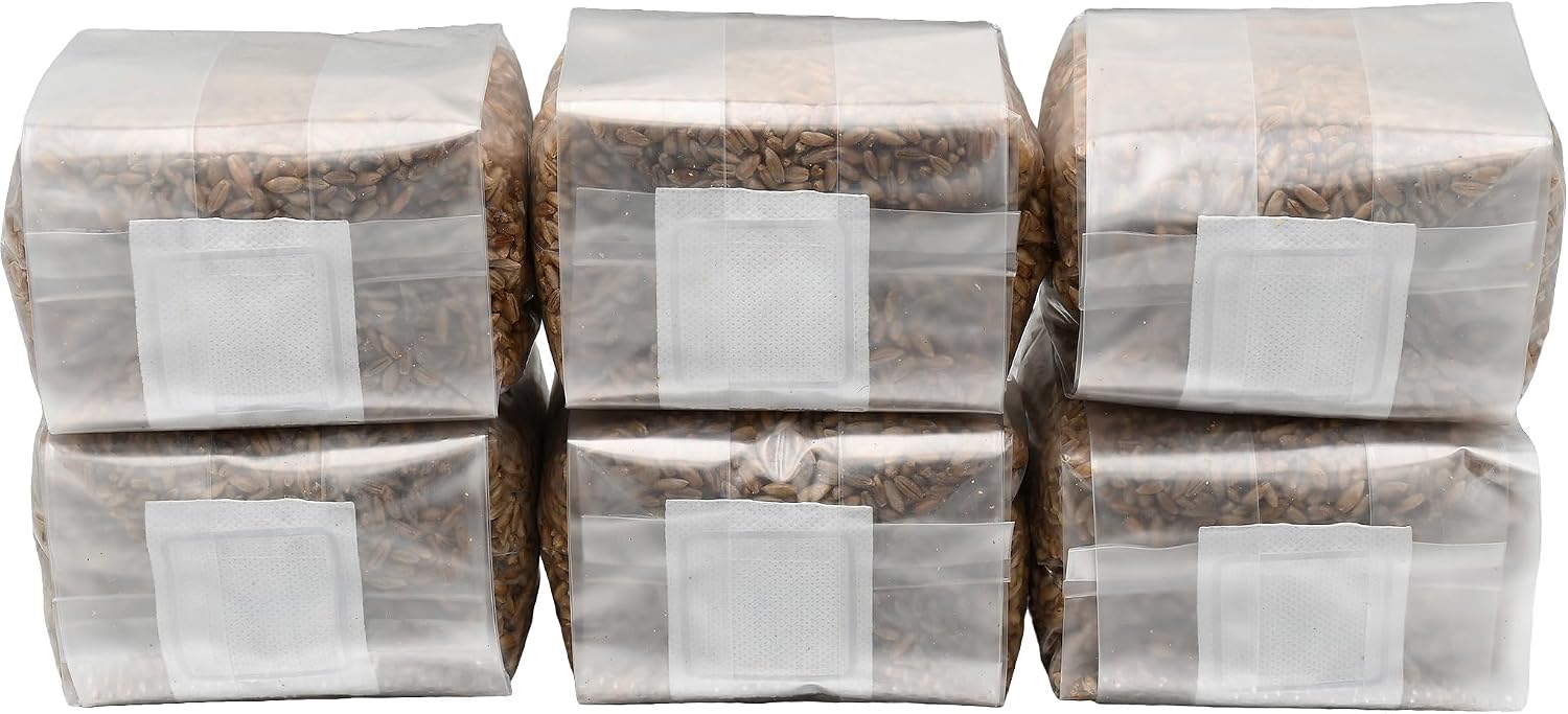 Six 1 Pound Bags of Sterilized Rye Berries Substrate in Mushroom Grow Bags