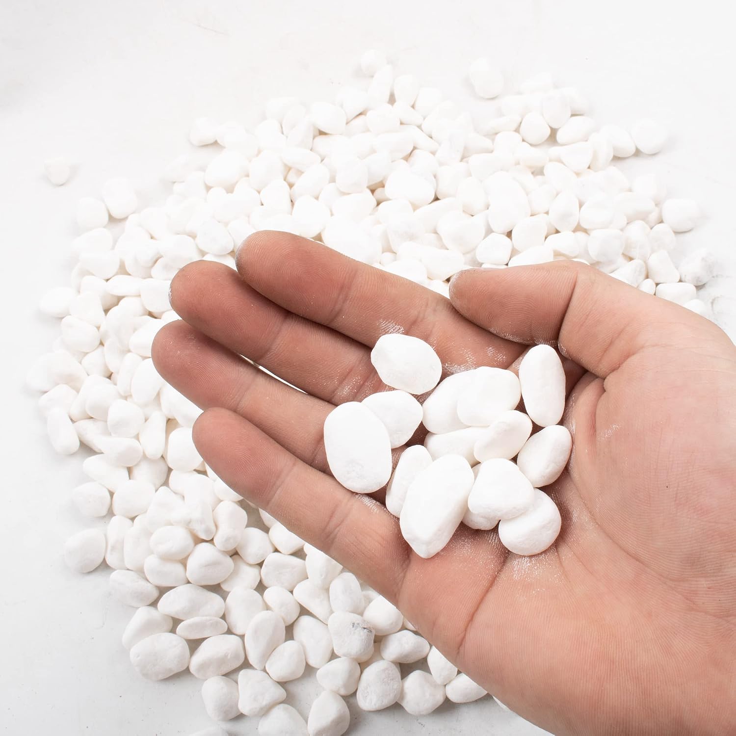 Pebbles for Plants 3 lb Natural Garden Decorative Stone Outdoor Aquariums Gravel 1-1.5 Inches