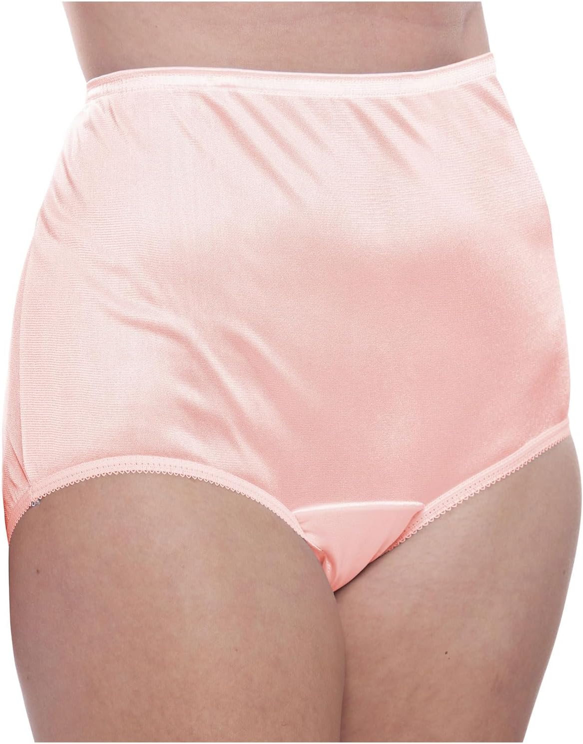 Teri Women's 331 Plain Jane Classic Nylon Silky-Smooth Lightweight Breathable Full Coverage Brief Panty - 4 Pack