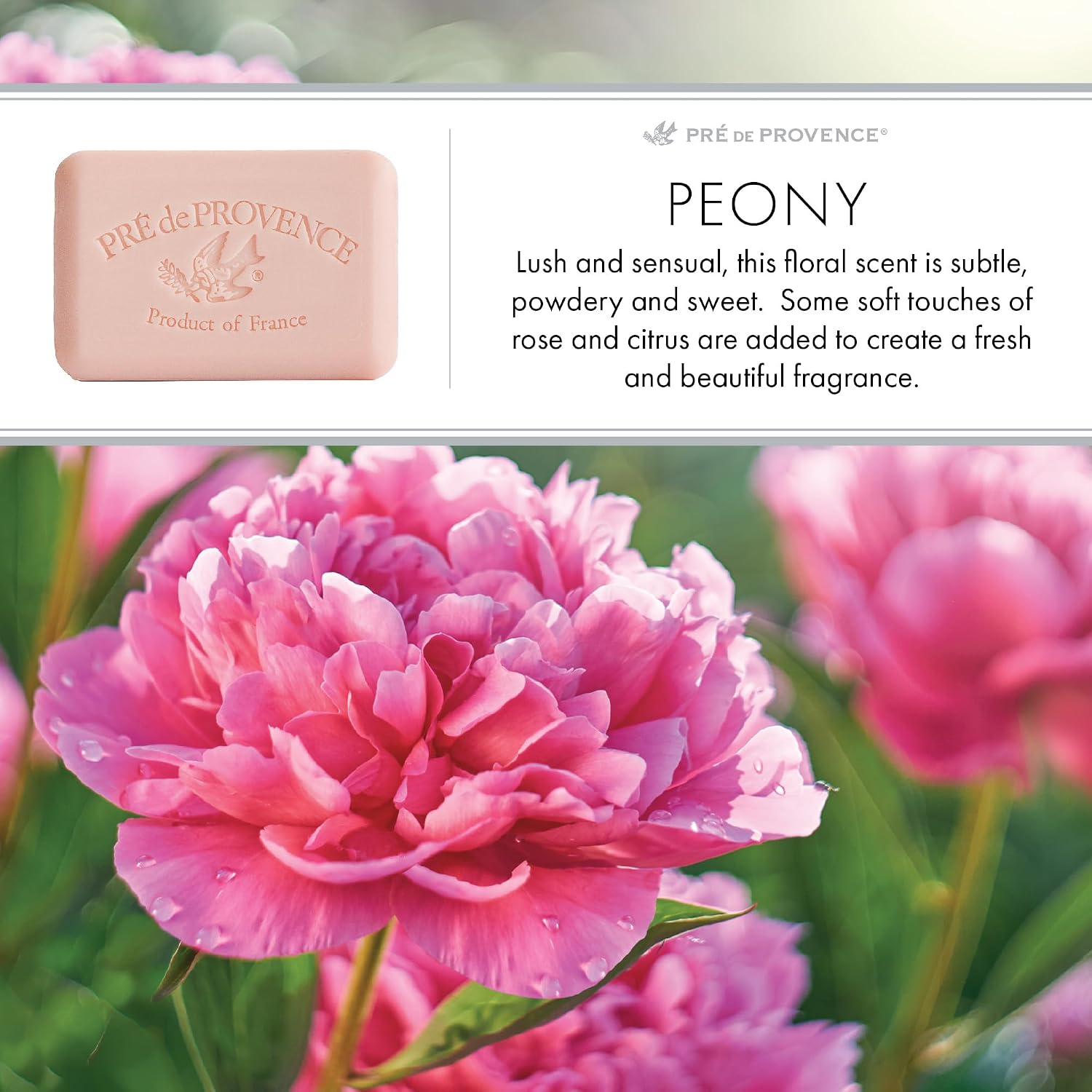Pre de Provence Artisanal Soap Bar, Natural French Skincare, Enriched with Organic Shea Butter, Quad Milled for Rich, Smooth & Moisturizing Lather, Linden, 5.3 Ounce
