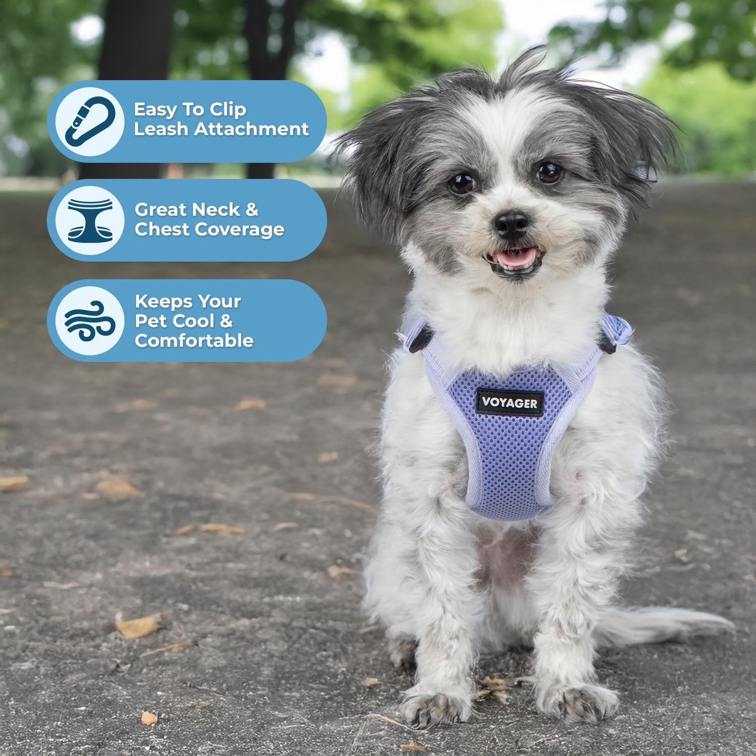 Voyager Step-in Flex Adjustable Dog Harness - Black, Medium | 17 - 21" in Chest, Fully Adjustable, Reflective Bands, All Weather Breathable Air Mesh, Lightweight, Fast Drying