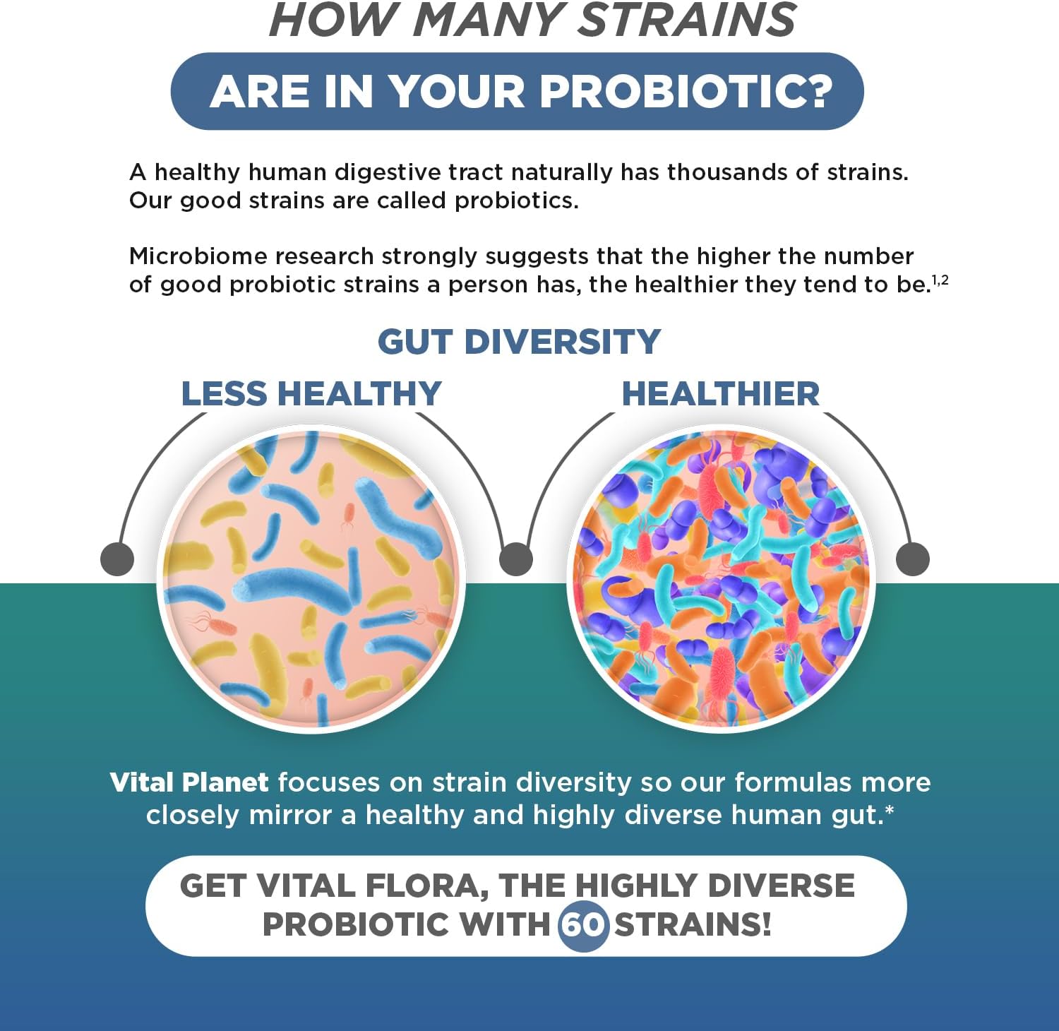Vital Planet - Vital Flora Ultra Daily Probiotic 60 Billion CFU, 60 Diverse Strains, 7 Organic Prebiotics, Immune Support