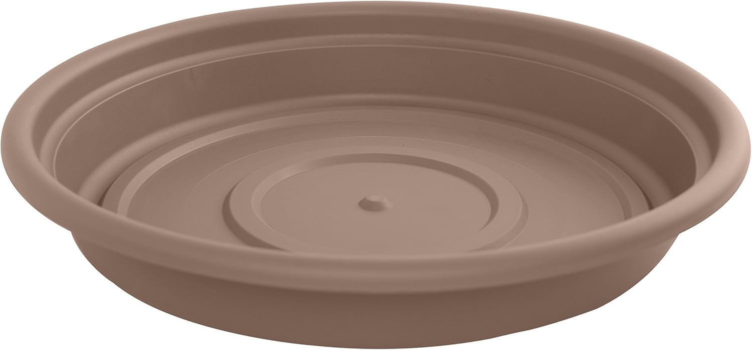 Bloem SDC8-46 Dura Cotta Plant Saucer, Terra Cotta, 8"